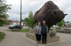The famous bison statue