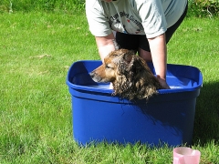 Max in a bucket!