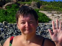 Pam waves on Pinel Island