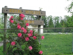 Royal Heights Park