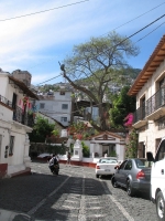 Taxco street