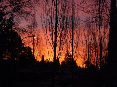 Sunrise-February-03-2009